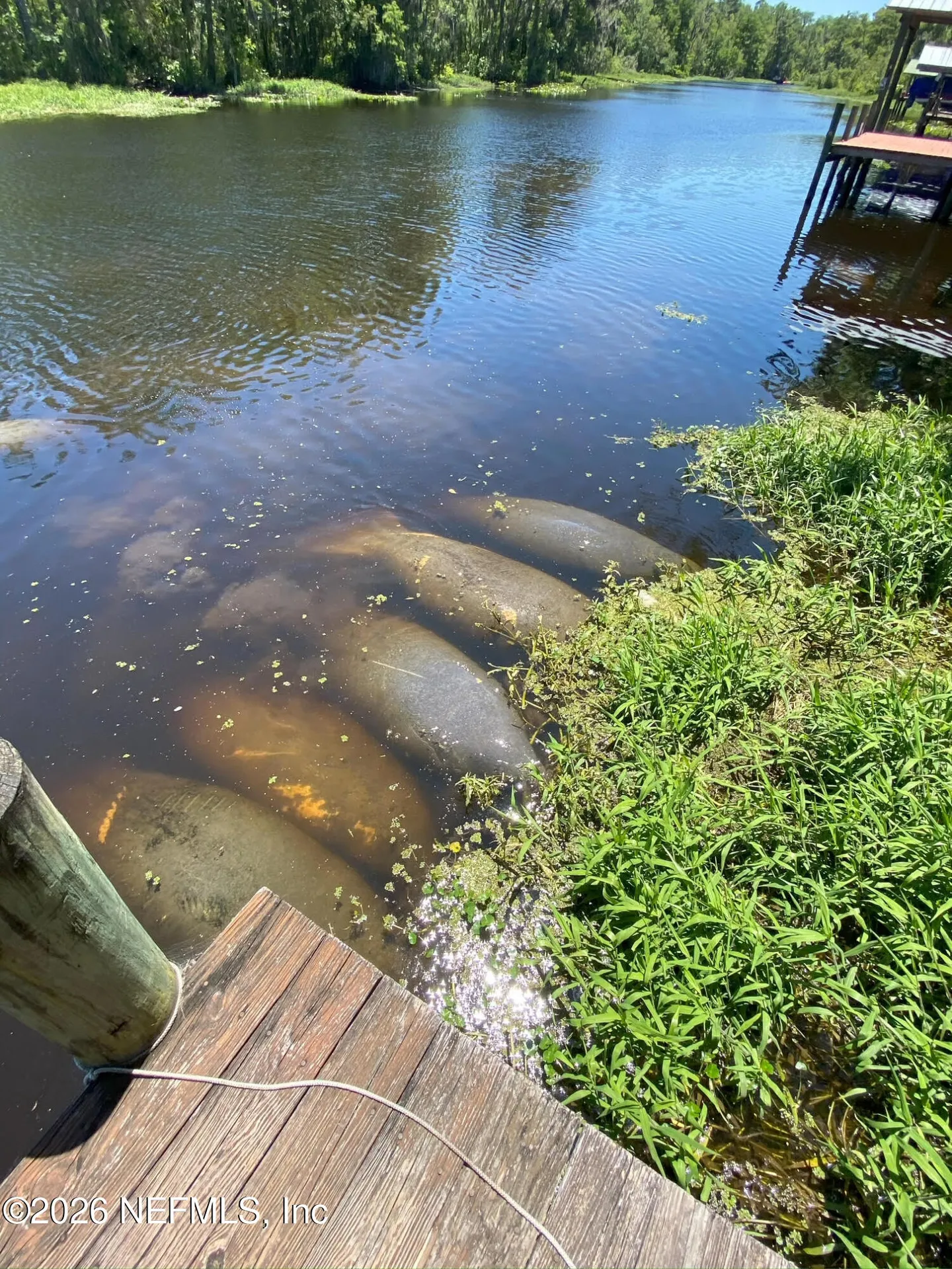 1257 Governors Creek Drive Green Cove Springs FL 32043