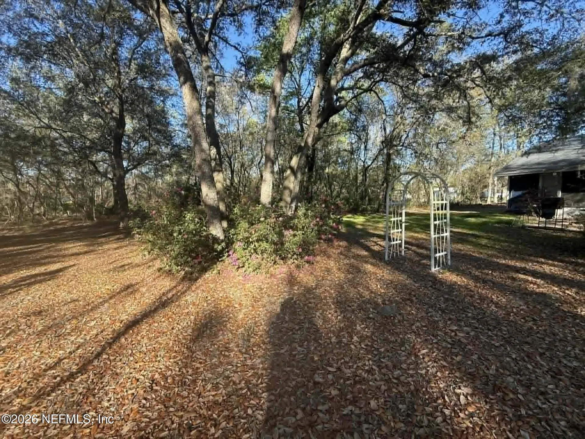 209 Scott Street Interlachen FL 32148