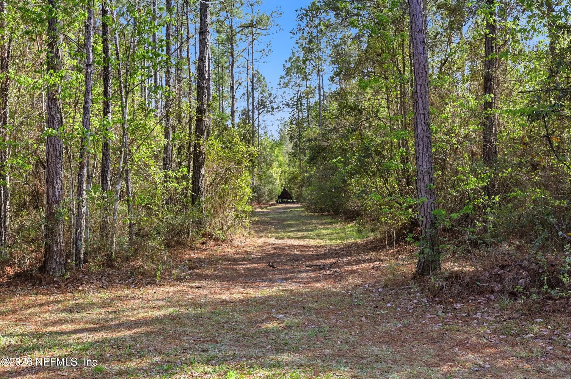 8796 Gin Henry Lane Glen St. Mary FL 32040