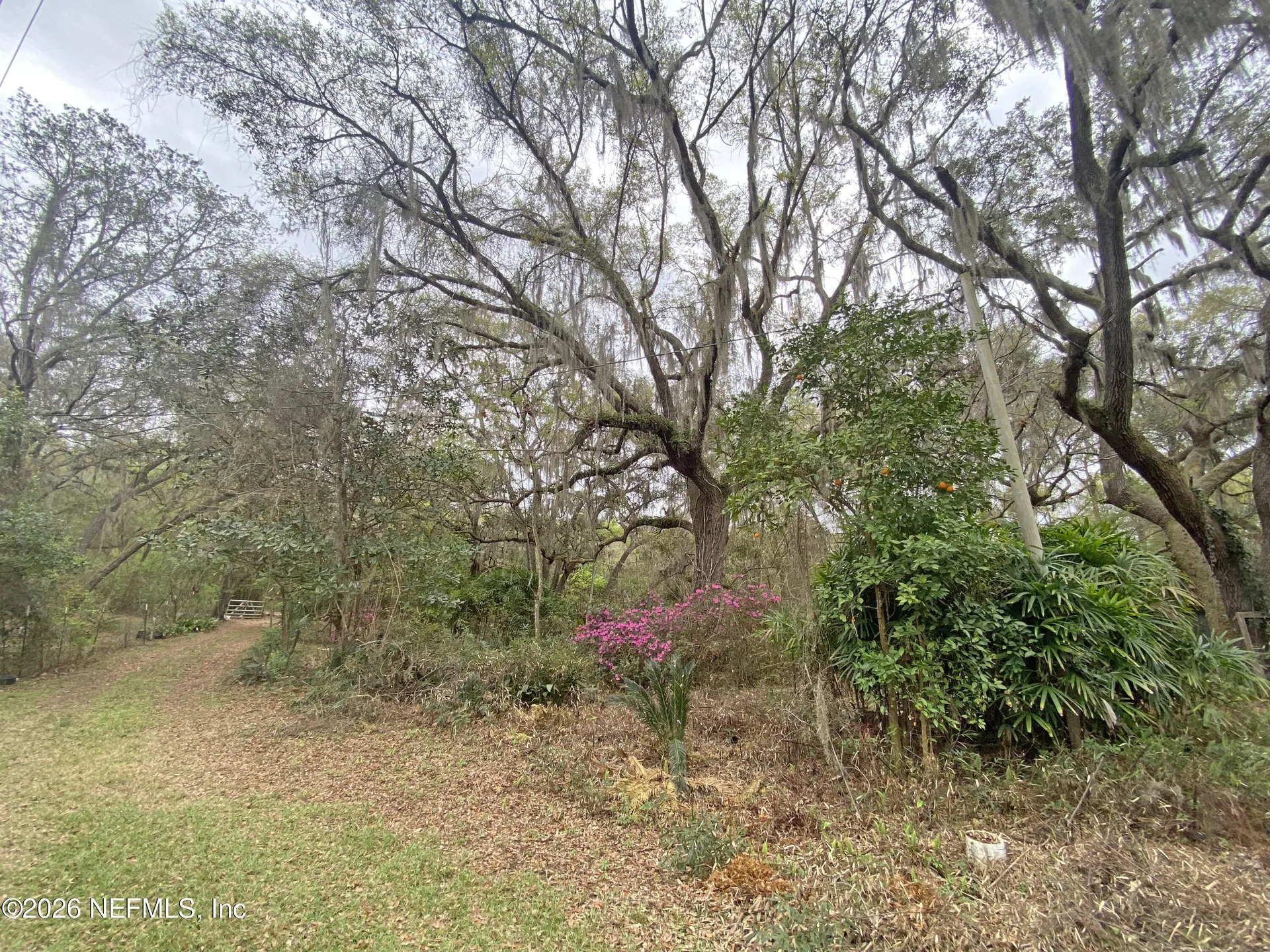 119 Twin Lakes Road Hawthorne FL 32640