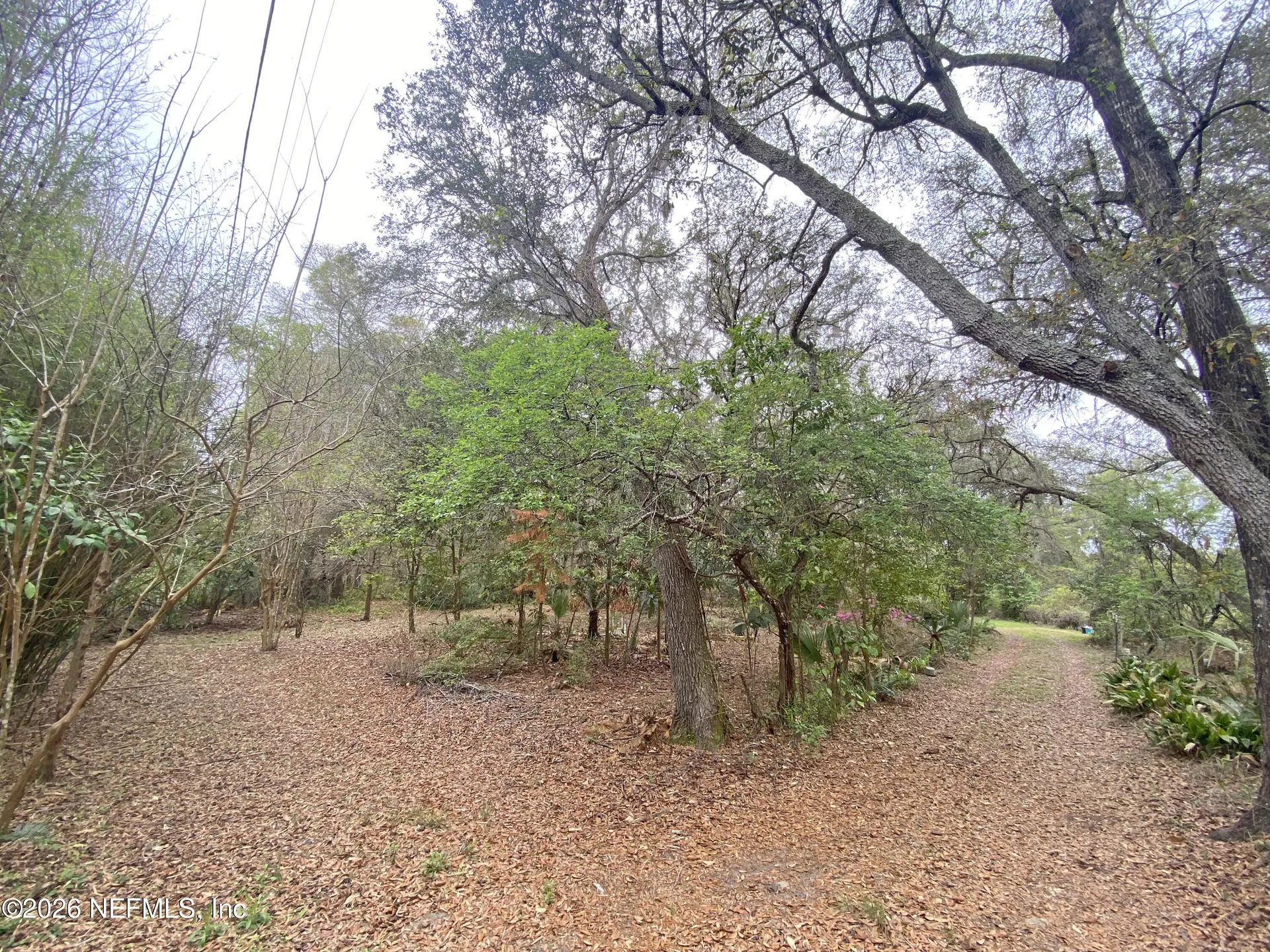 119 Twin Lakes Road Hawthorne FL 32640