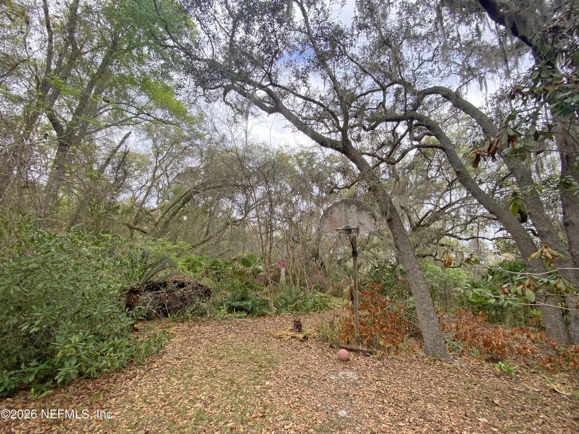 119 Twin Lakes Road Hawthorne FL 32640
