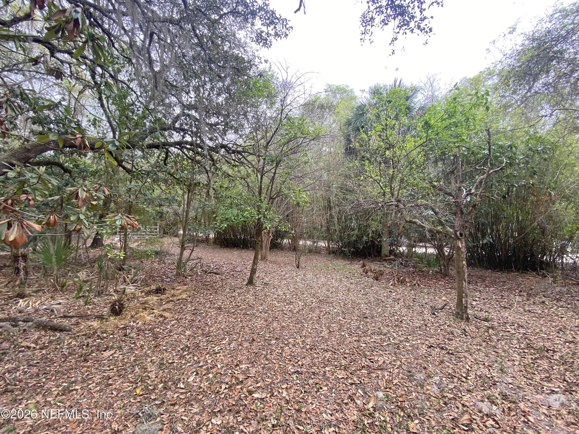 119 Twin Lakes Road Hawthorne FL 32640