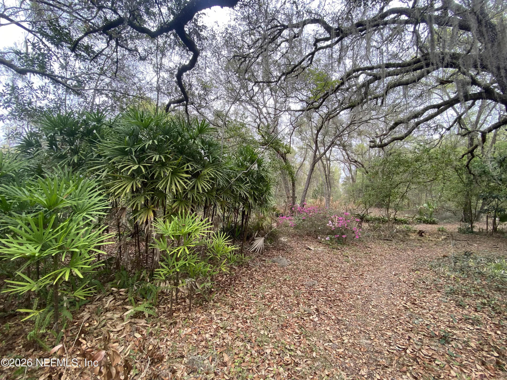 119 Twin Lakes Road Hawthorne FL 32640