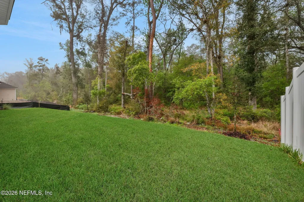 2280 Brannings Sawmill Court Middleburg FL 32068