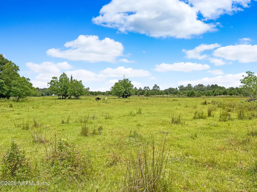 0 Black Creek Drive Middleburg FL 32068