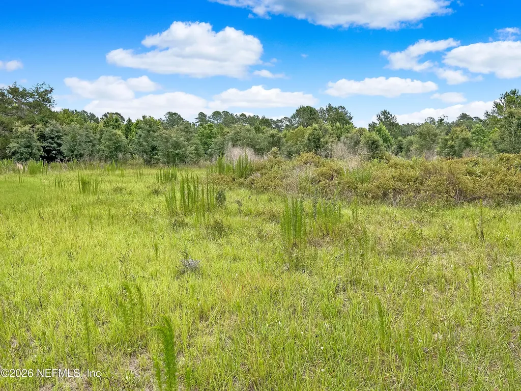 0 Black Creek Drive Middleburg FL 32068