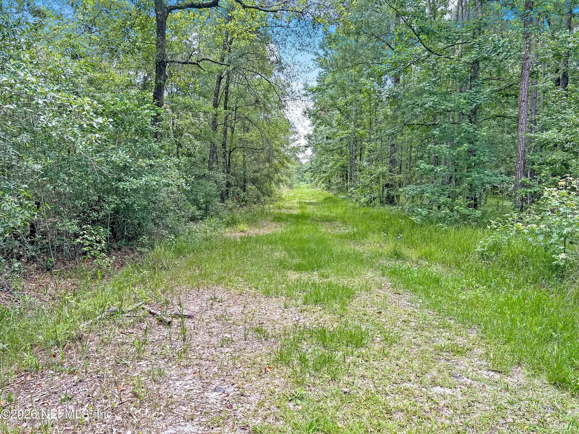 0 Black Creek Drive Middleburg FL 32068