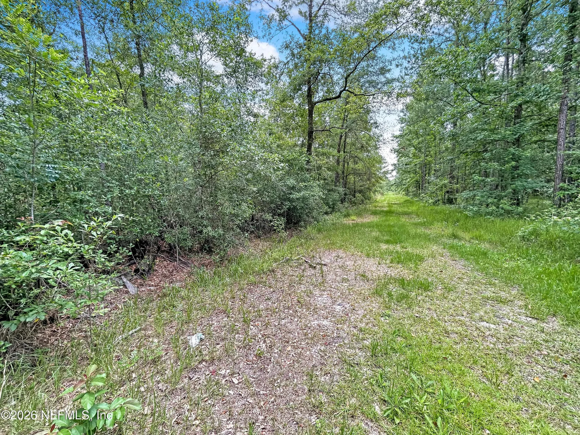 0 Black Creek Drive Middleburg FL 32068