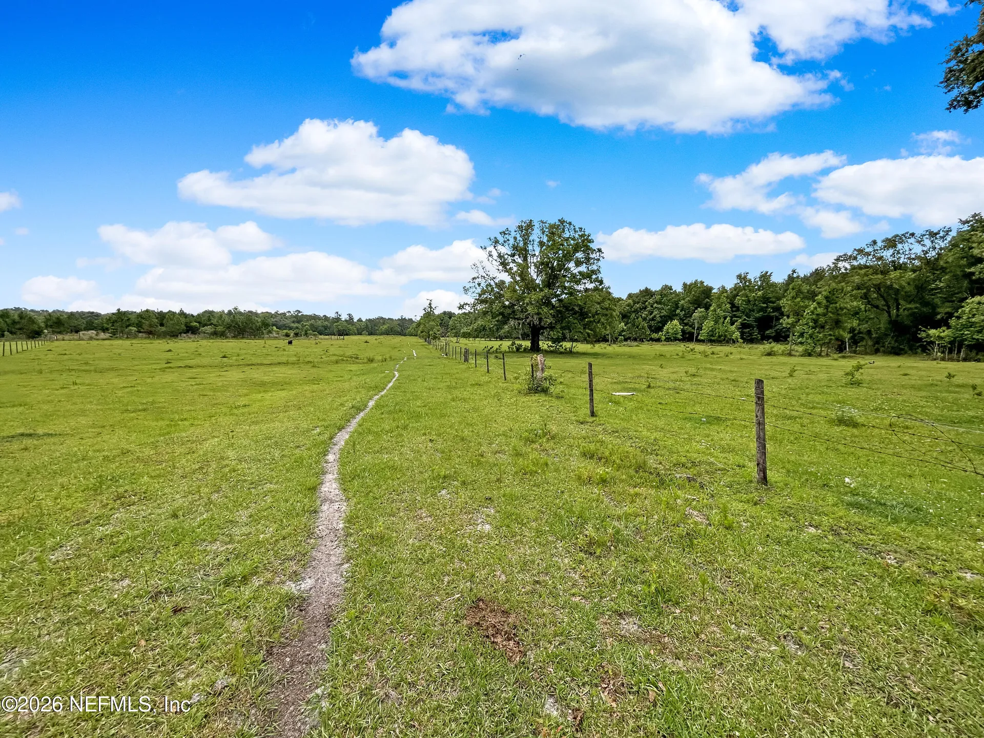 0 Black Creek Drive Middleburg FL 32068