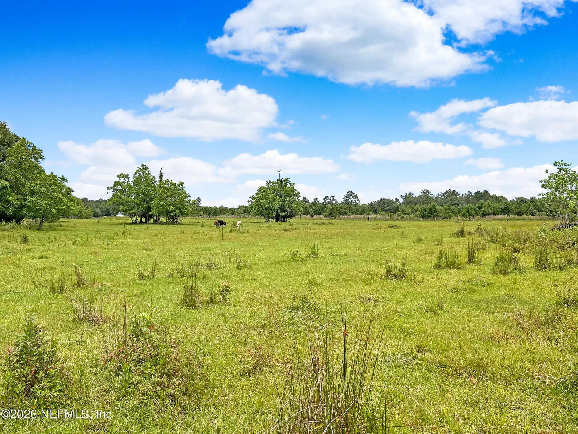 0 Black Creek Drive Middleburg FL 32068