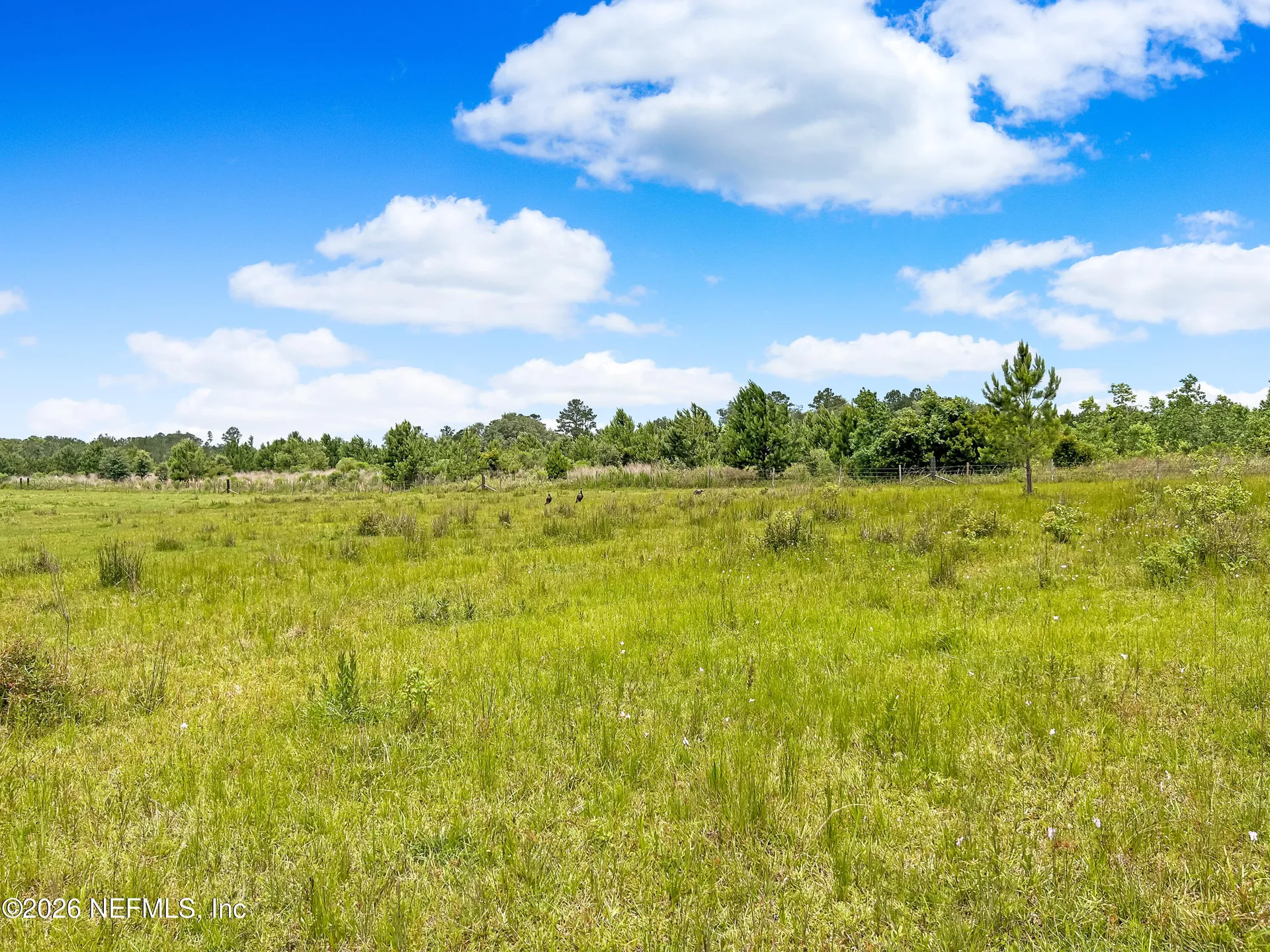 0 Black Creek Drive Middleburg FL 32068