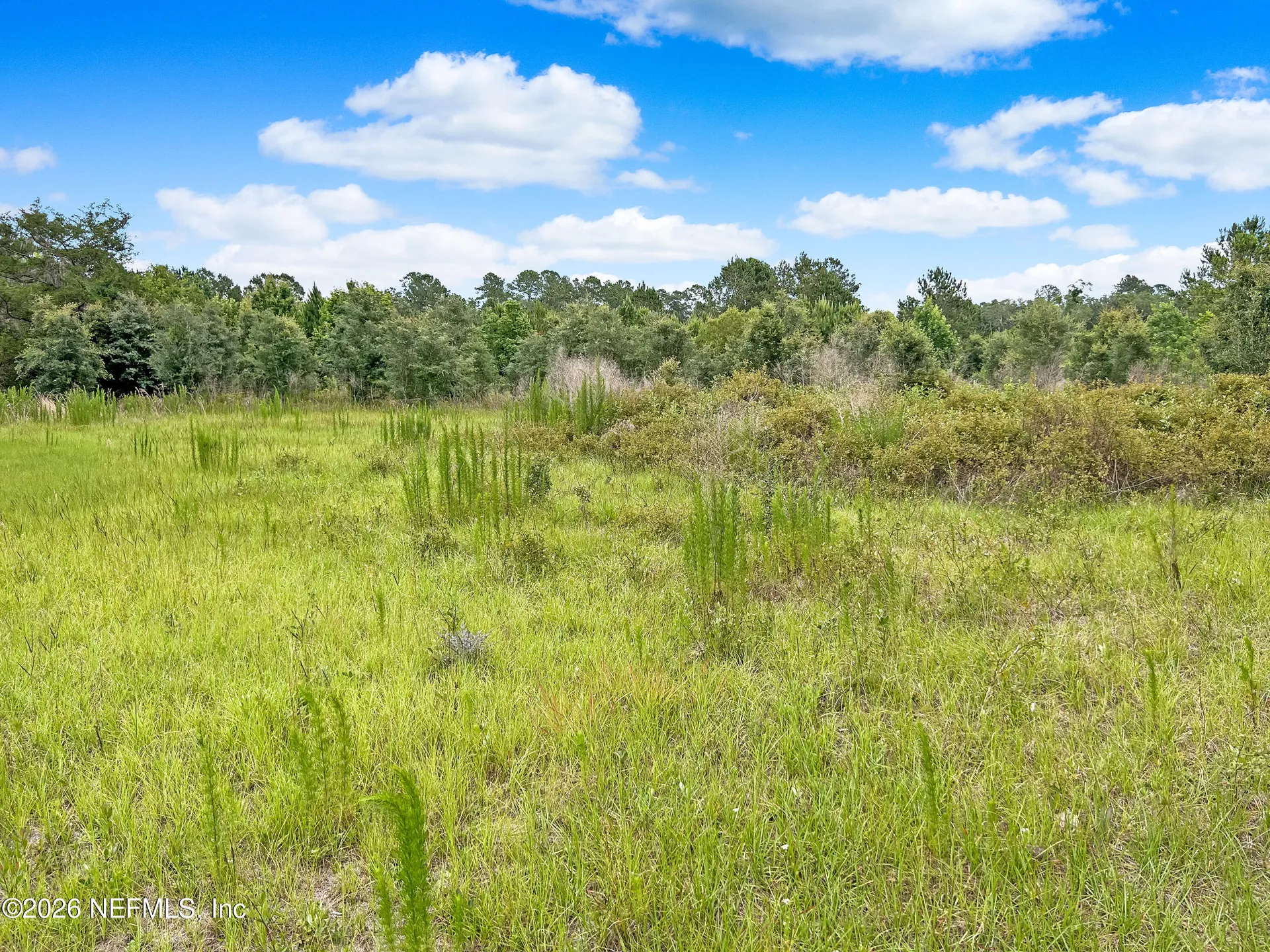 0 Black Creek Drive Middleburg FL 32068