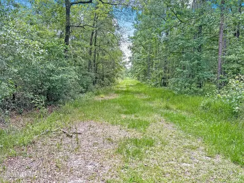 0 Black Creek Drive Middleburg FL 32068