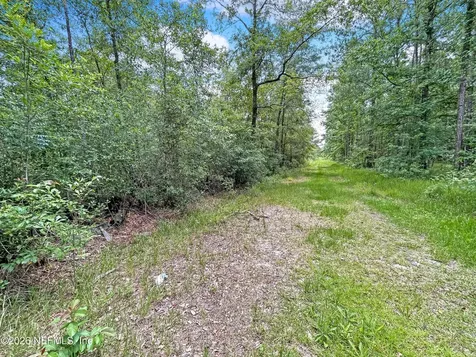 0 Black Creek Drive Middleburg FL 32068