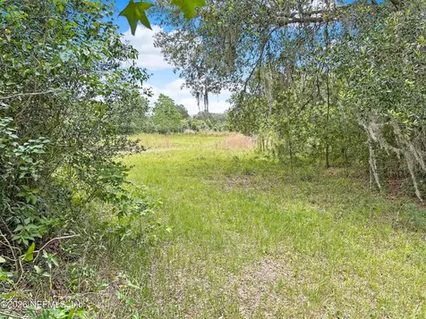 0 Black Creek Drive Middleburg FL 32068