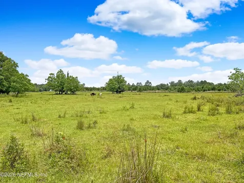 0 Black Creek Drive Middleburg FL 32068