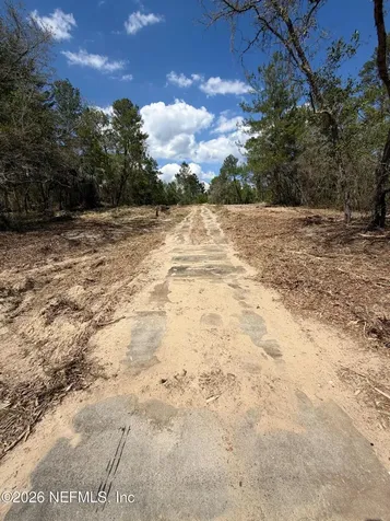 110 Lincoln Street Satsuma FL 32189