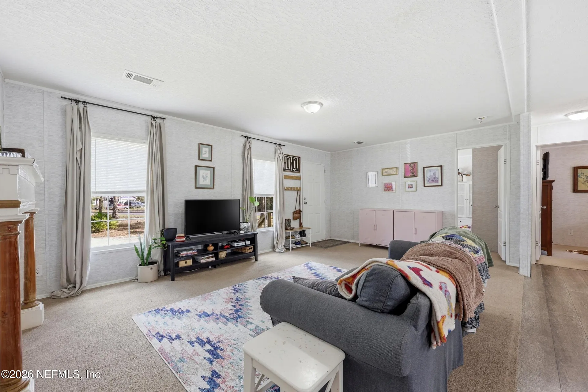 4305 Wanda Street Hastings FL 32145