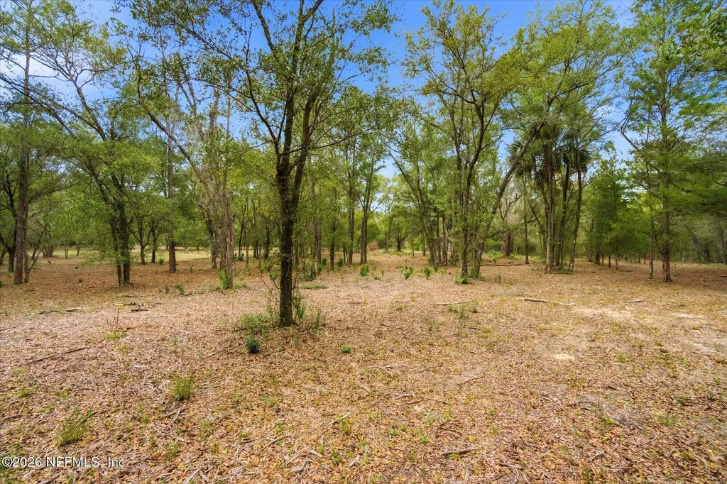 654 Old Welaka Road Welaka FL 32193