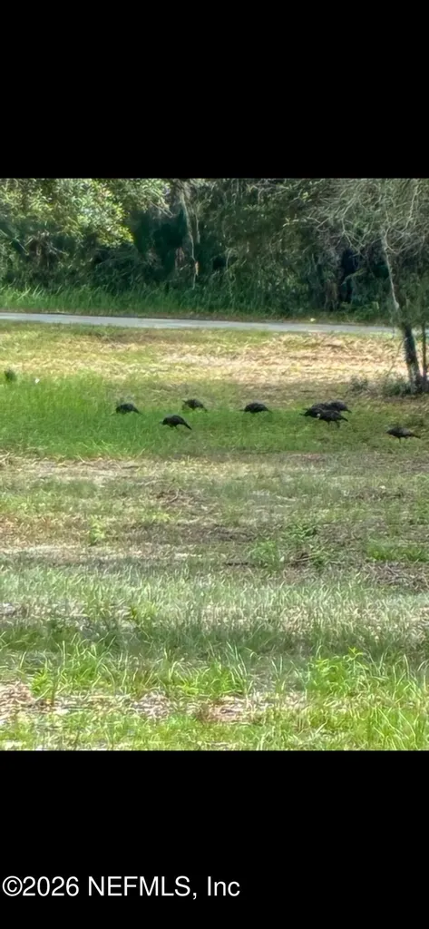 654 Old Welaka Road Welaka FL 32193