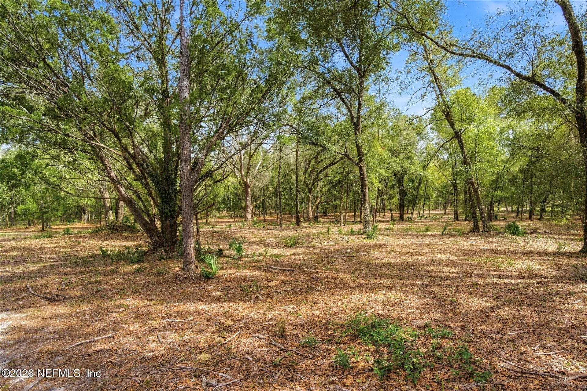 654 Old Welaka Road Welaka FL 32193