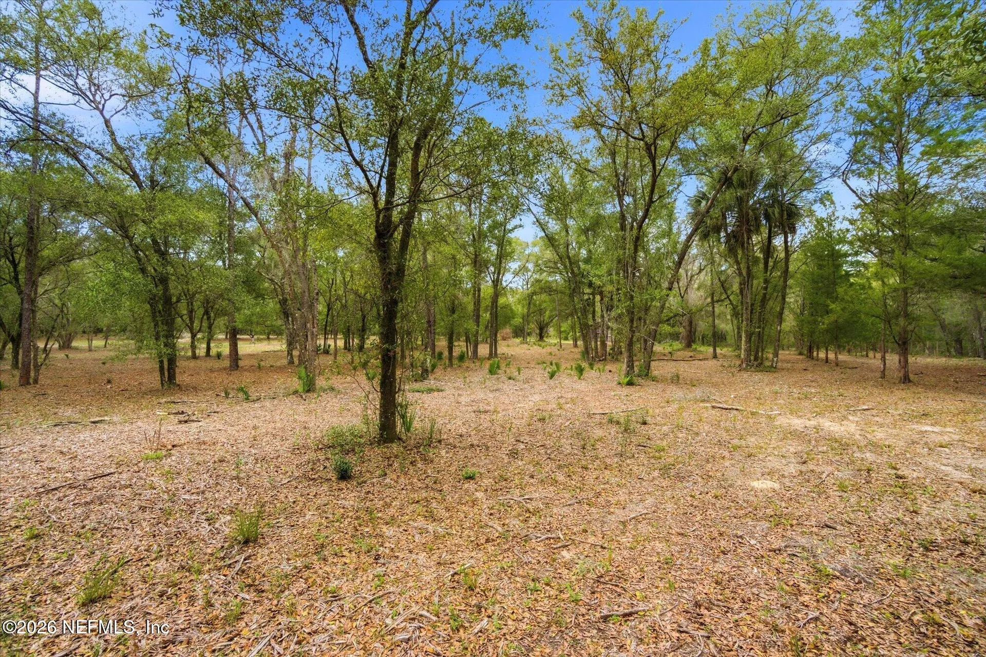 654 Old Welaka Road Welaka FL 32193