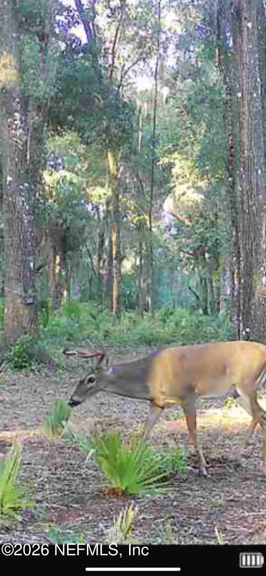 654 Old Welaka Road Welaka FL 32193