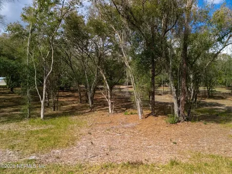 654 Old Welaka Road Welaka FL 32193