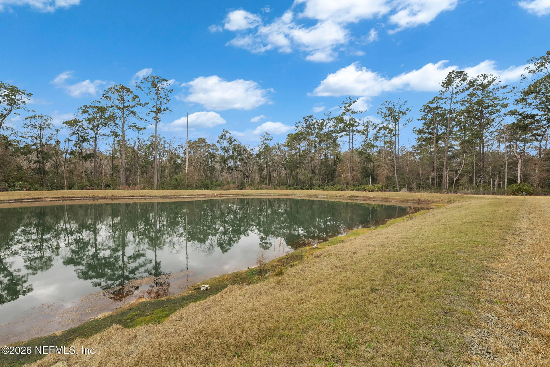 12464 Clapboard Bluff Trail Jacksonville FL 32226