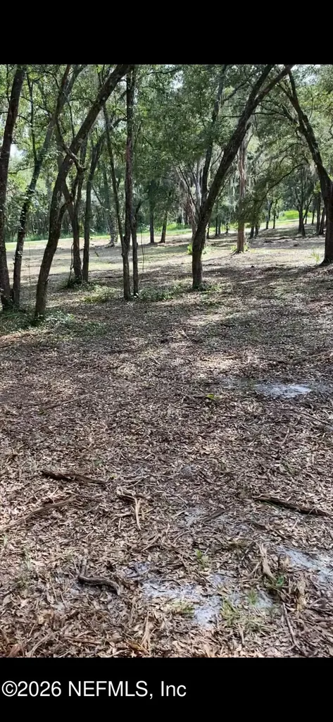 660 Old Welaka Road Welaka FL 32193
