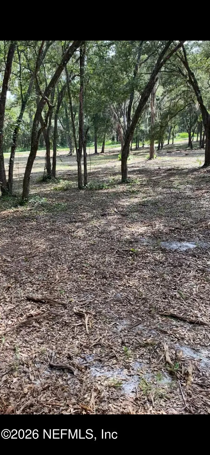 660 Old Welaka Road Welaka FL 32193