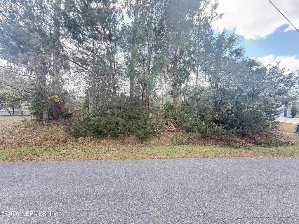12 Pineash Lane Palm Coast FL 32164