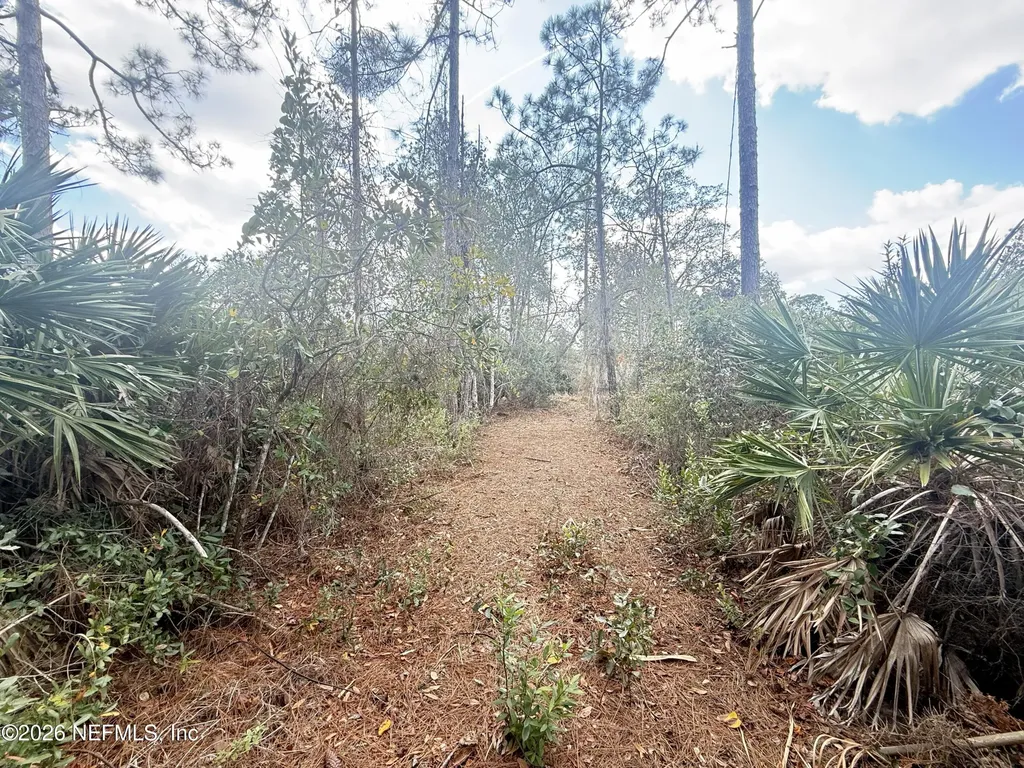 12 Pineash Lane Palm Coast FL 32164
