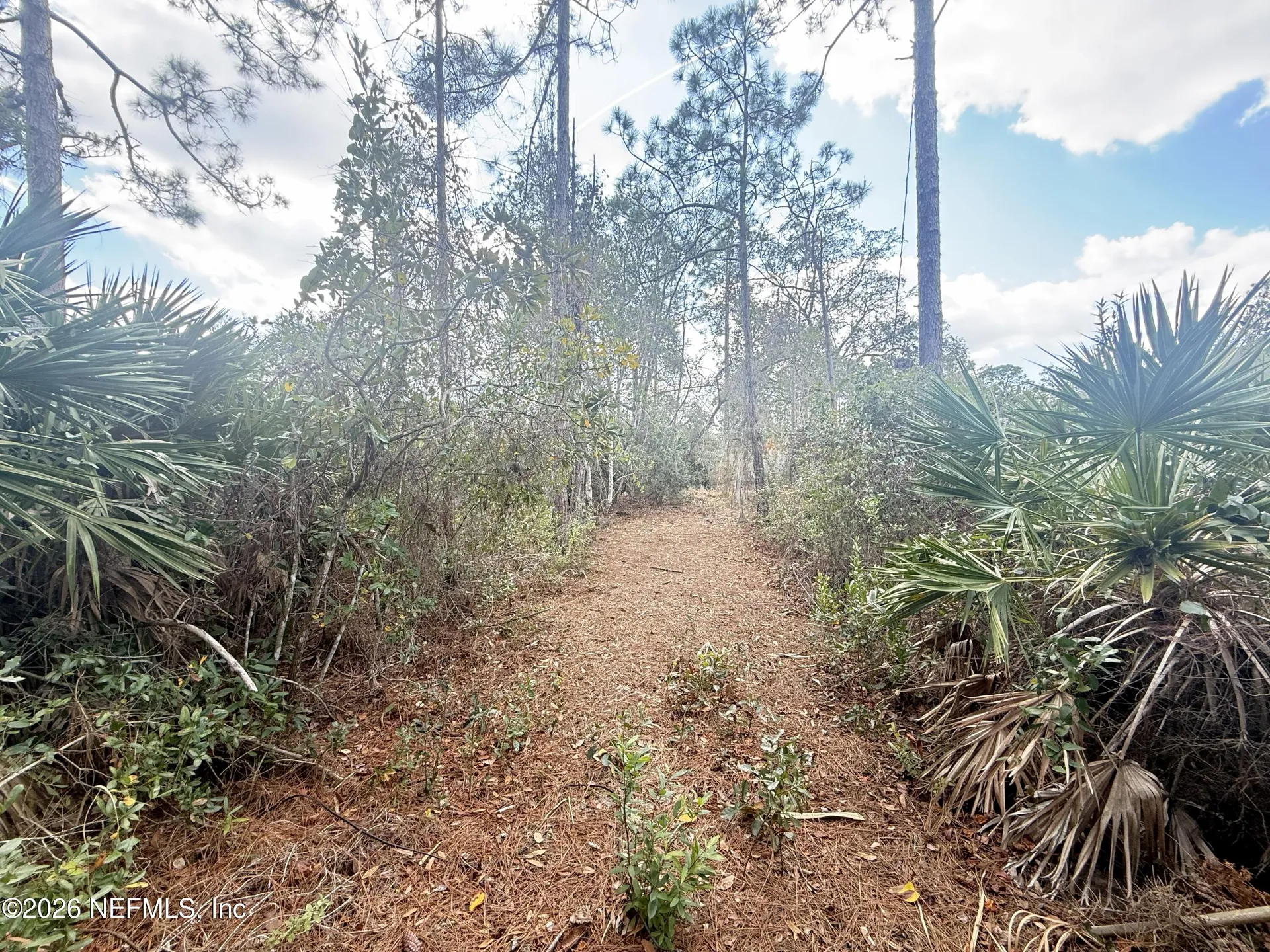 12 Pineash Lane Palm Coast FL 32164