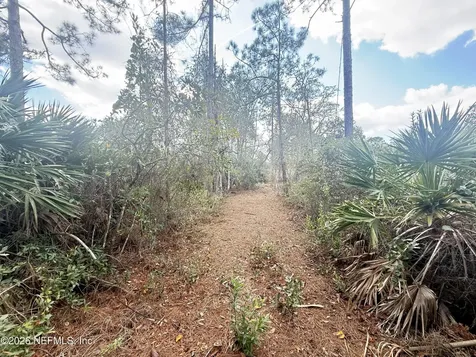 12 Pineash Lane Palm Coast FL 32164
