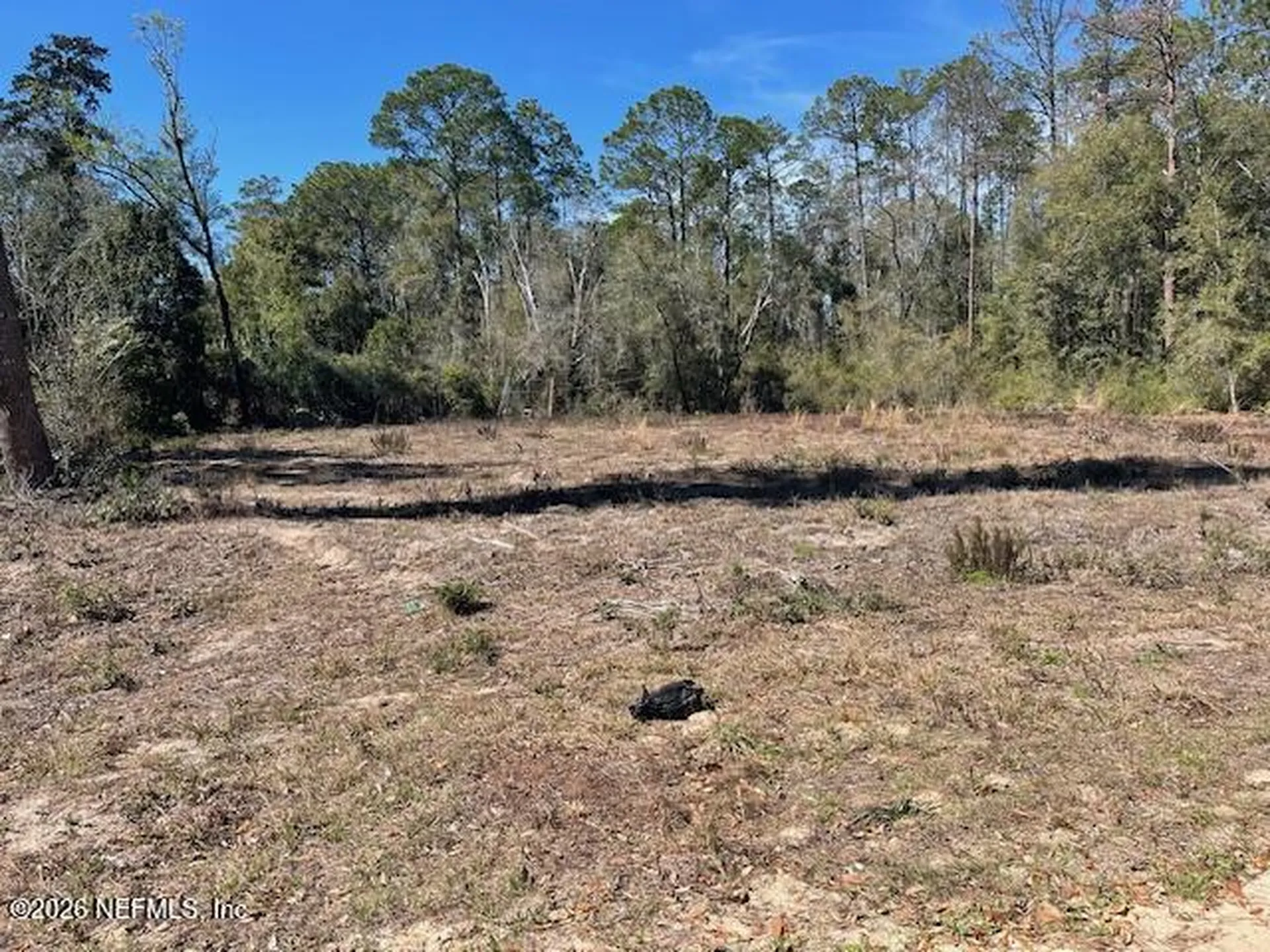 0 Sioux Avenue Interlachen FL 32148
