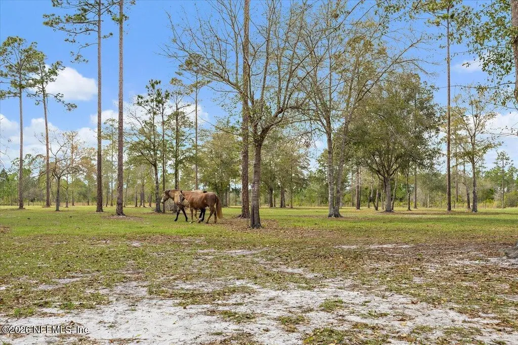 14394 Bob Burnsed Road Glen St. Mary FL 32040