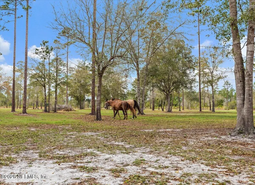 14394 Bob Burnsed Road Glen St. Mary FL 32040