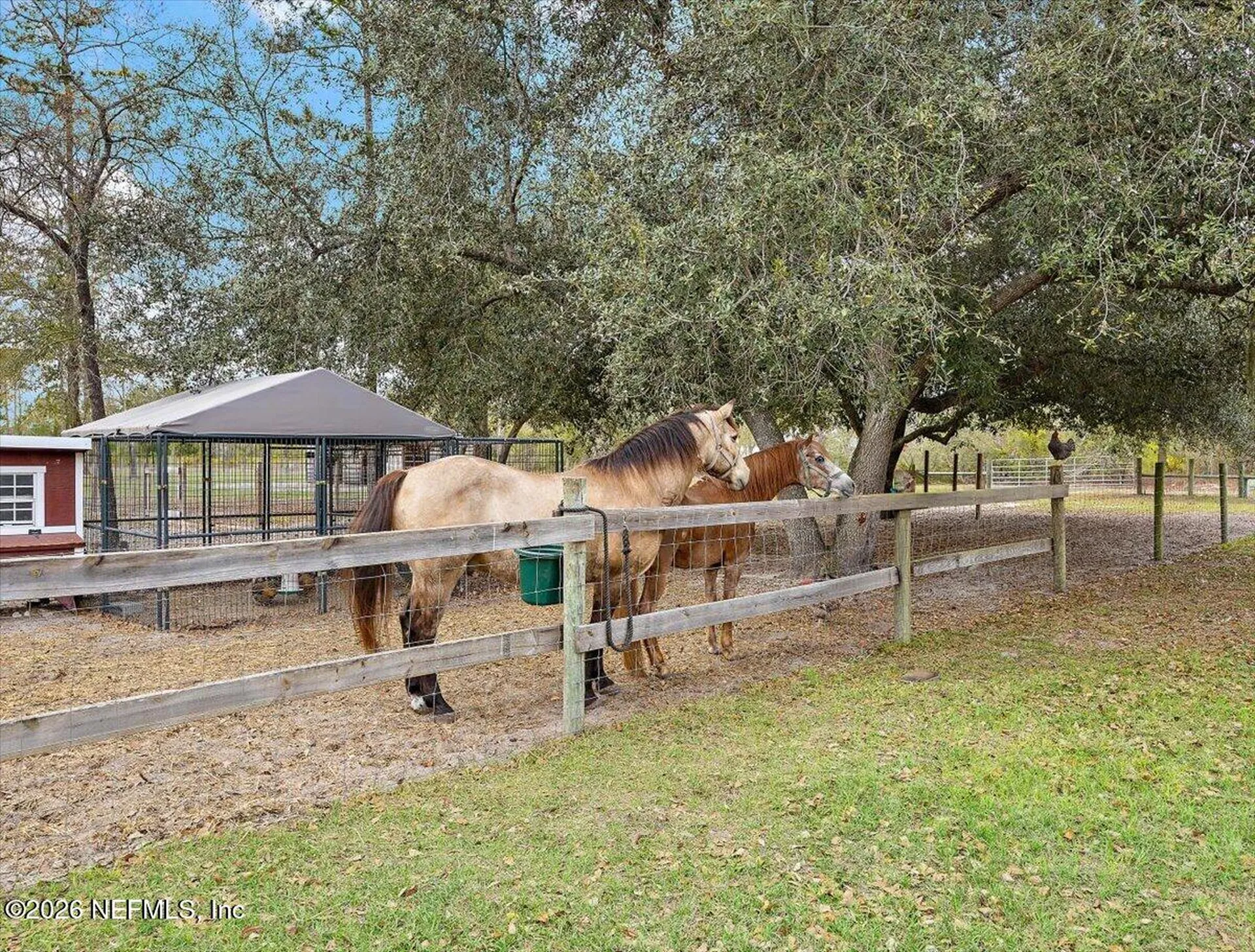 14394 Bob Burnsed Road Glen St. Mary FL 32040