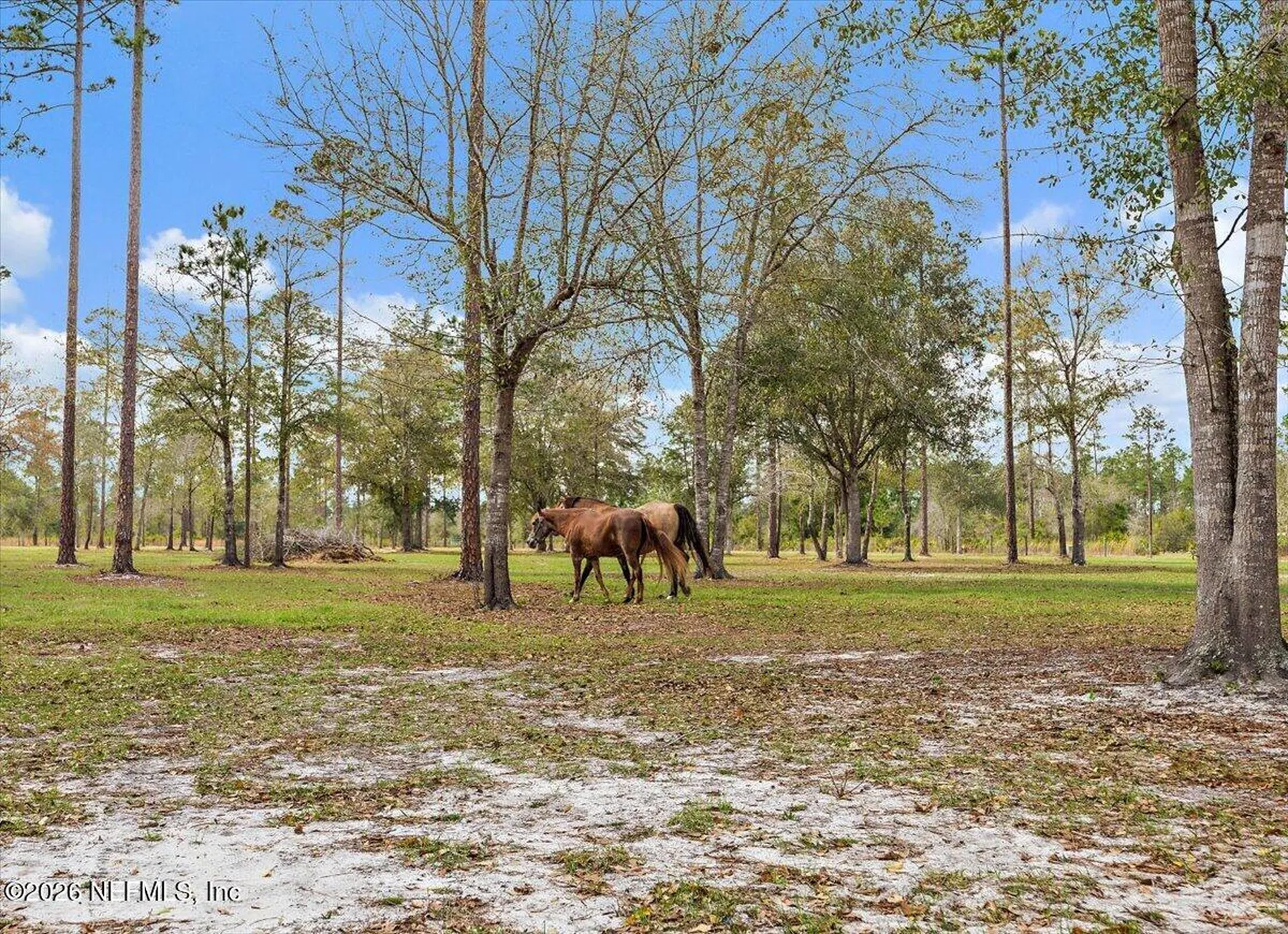 14394 Bob Burnsed Road Glen St. Mary FL 32040