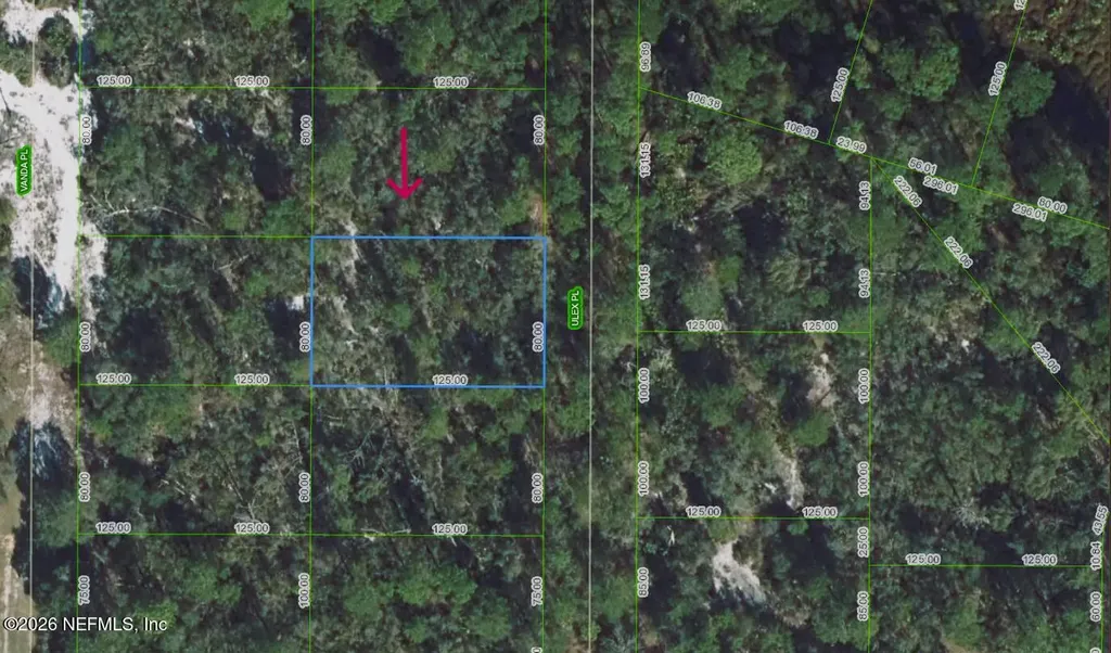 6813 Ulex Sebring FL 33875