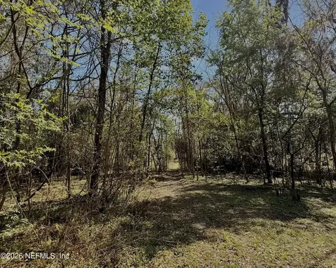 3425 NW 156th Avenue Gainesville FL 32609