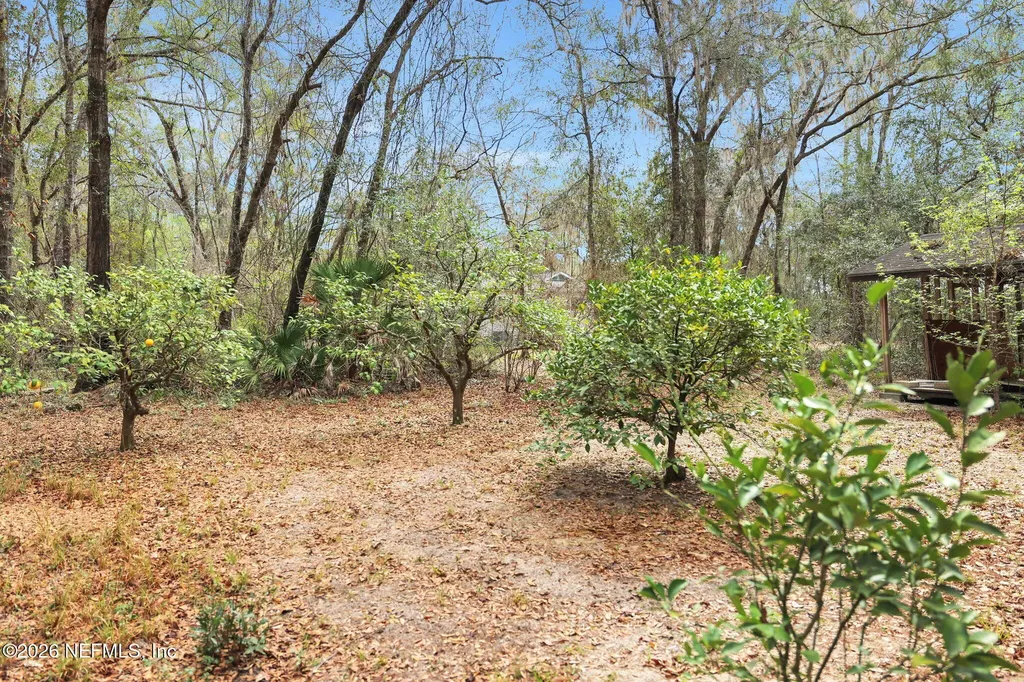 871 Landreth Road Green Cove Springs FL 32043