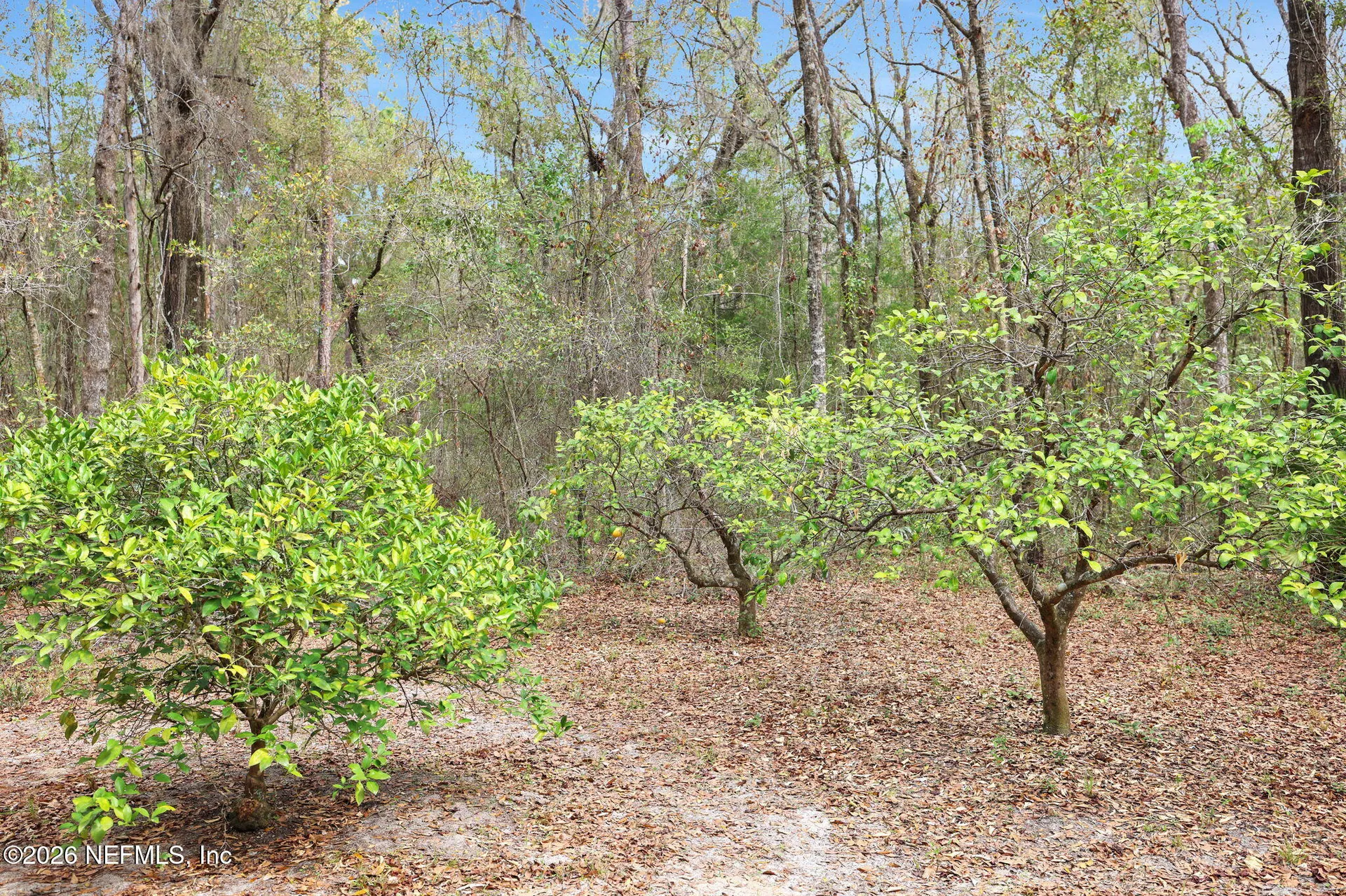 871 Landreth Road Green Cove Springs FL 32043