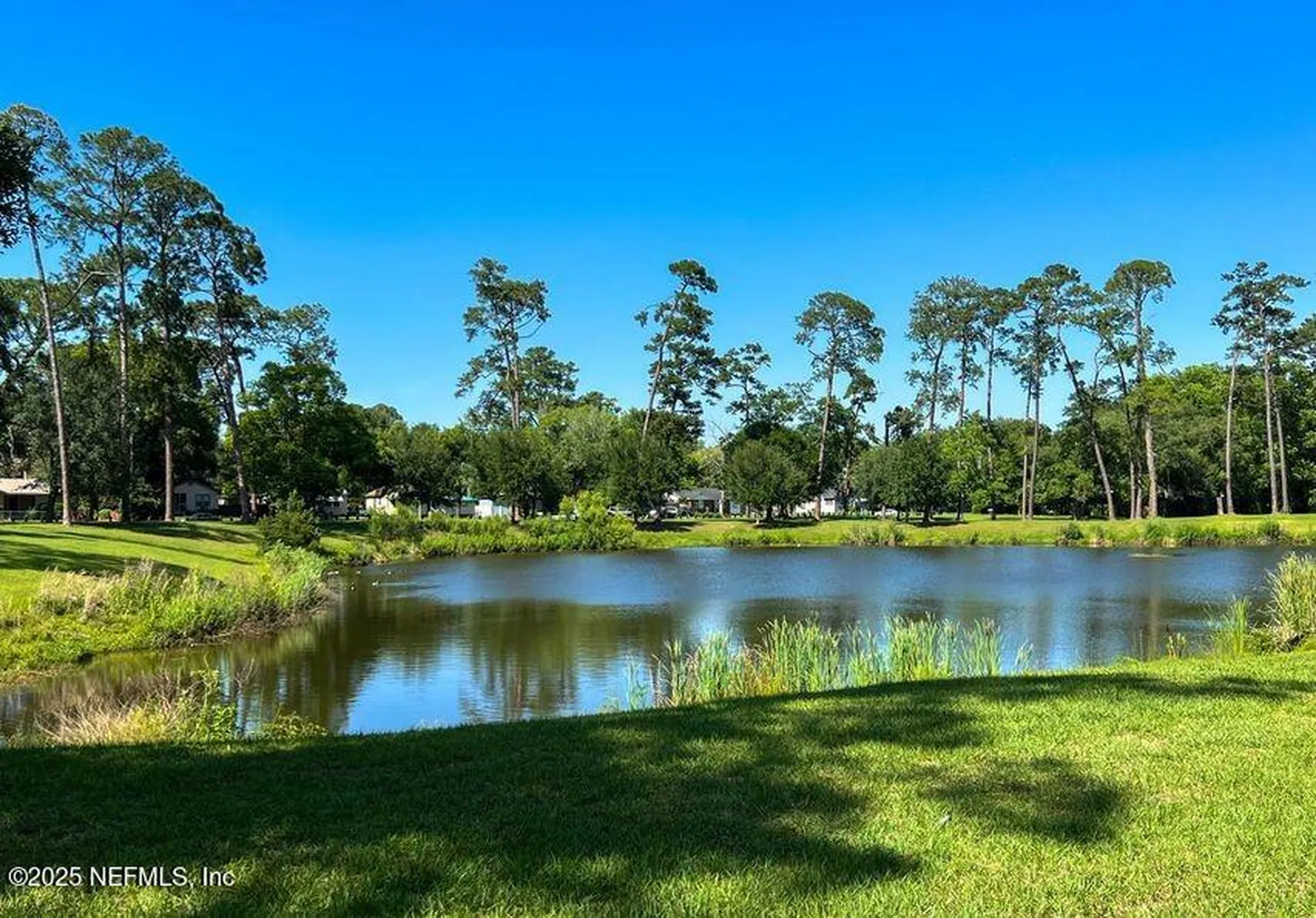 3332 Dellwood Avenue Jacksonville FL 32205