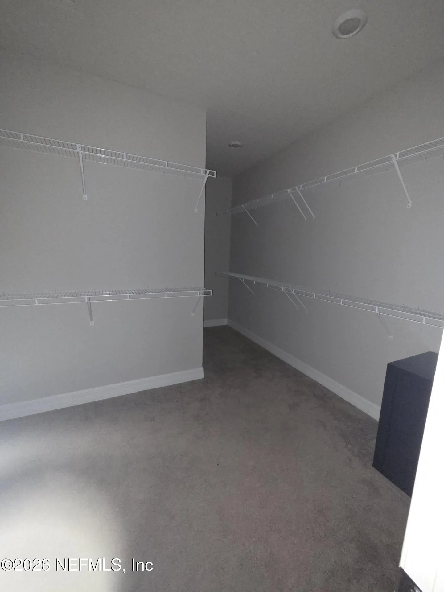 12351 Clapboard Bluff Trail Jacksonville FL 32226
