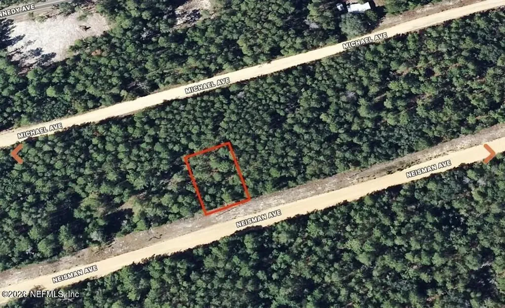 0 Neisman Avenue Interlachen FL 32148