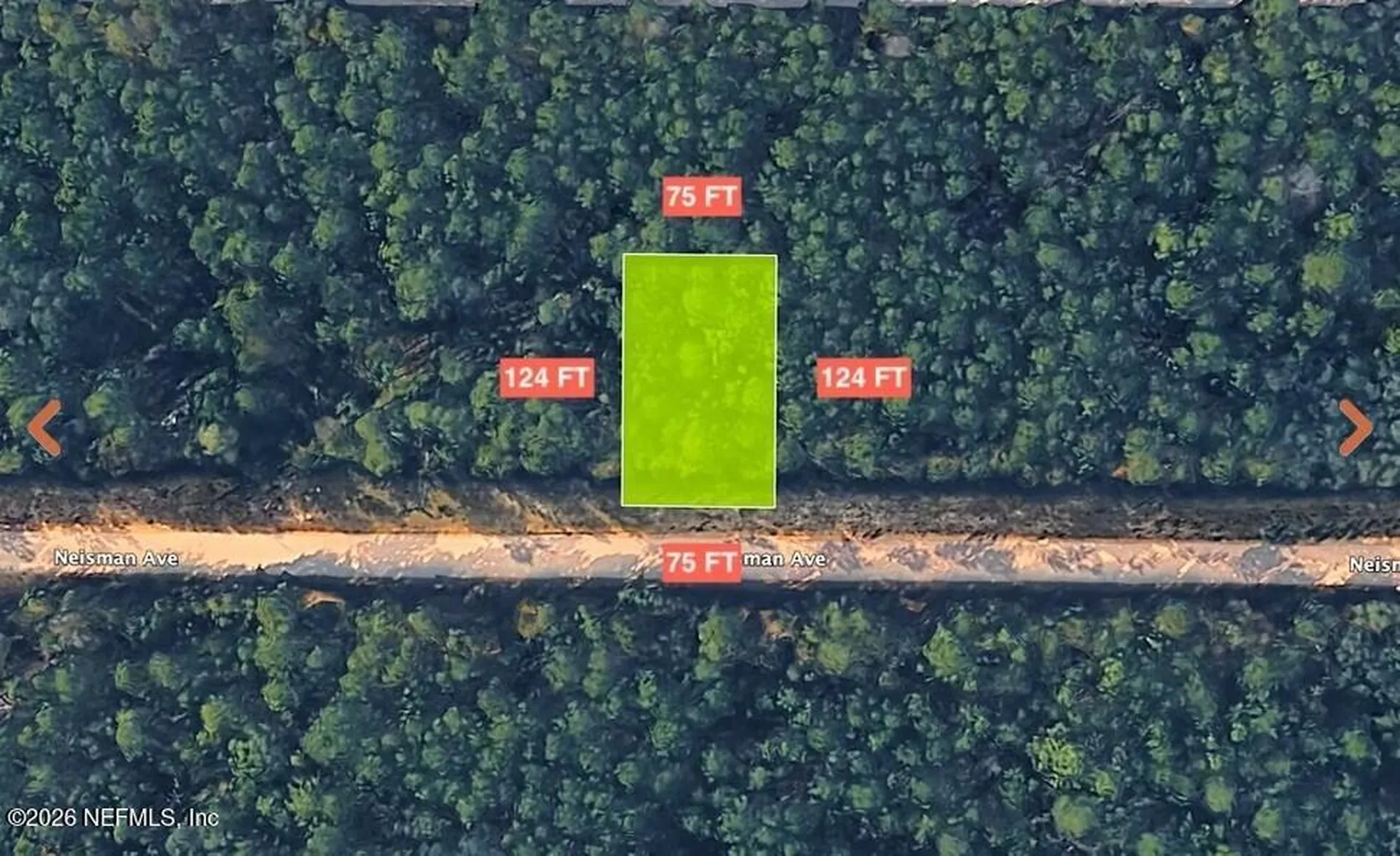 0 Neisman Avenue Interlachen FL 32148