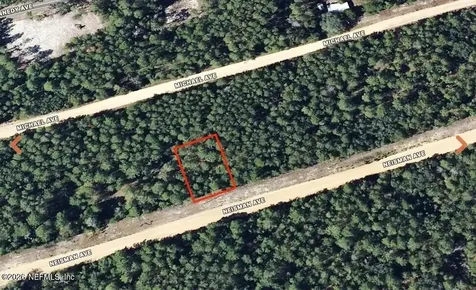 0 Neisman Avenue Interlachen FL 32148